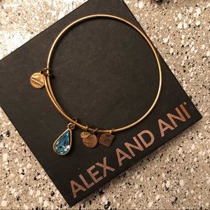 Alex and Ani Charity Bracelet Water foundation